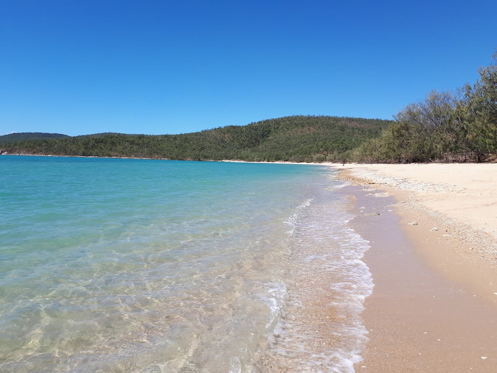 Dingo Beach - Image 1