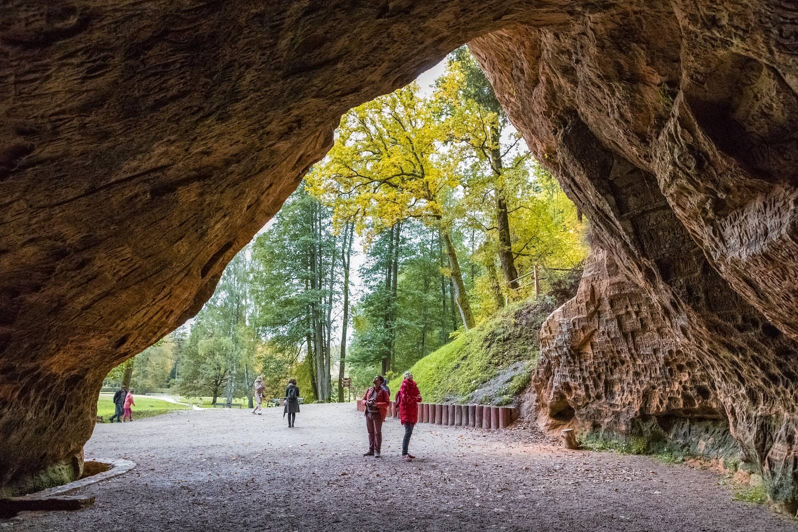Surrounding Nature Trails