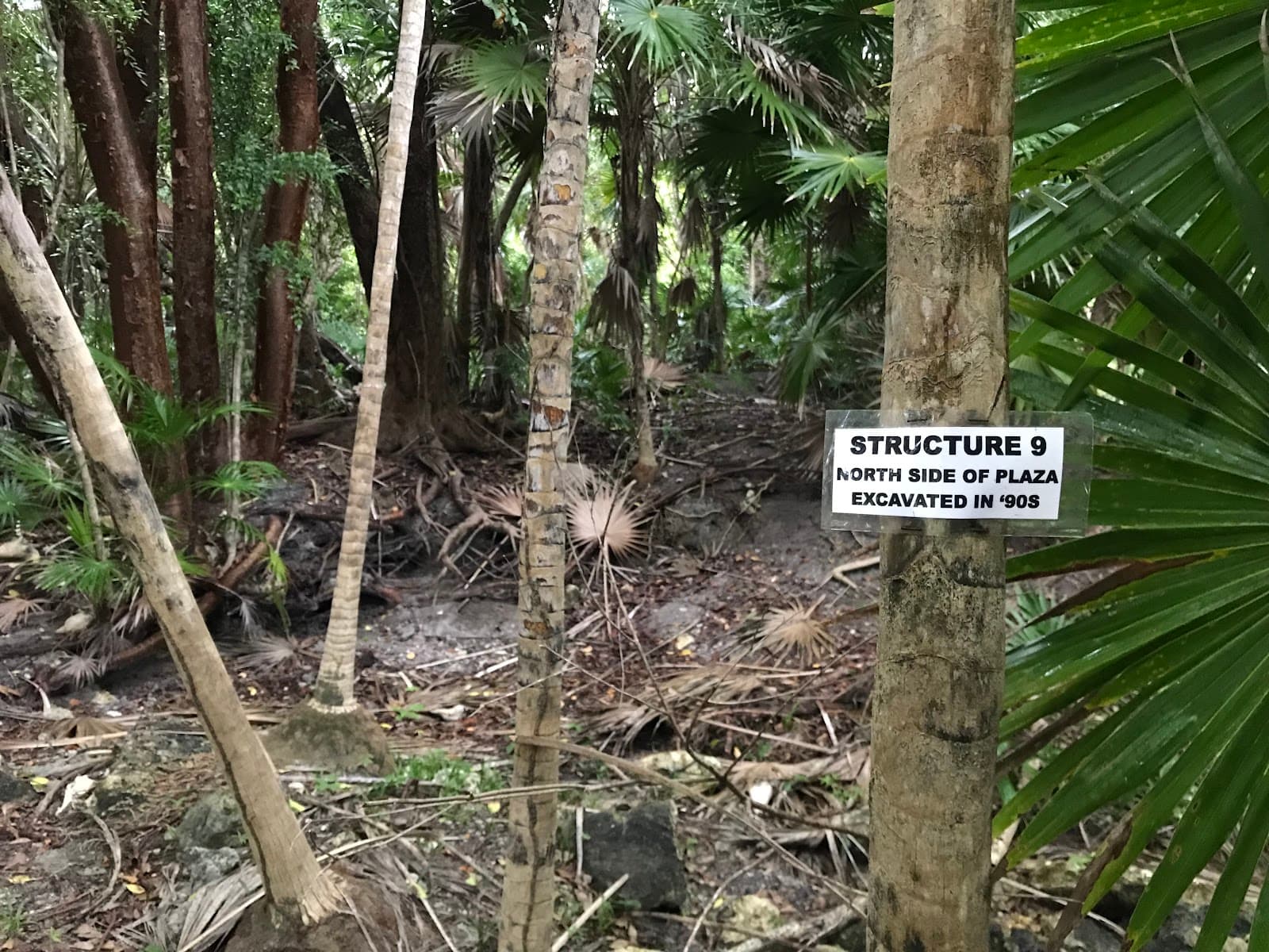 Marco Gonzalez Maya Site Belize - Image 1