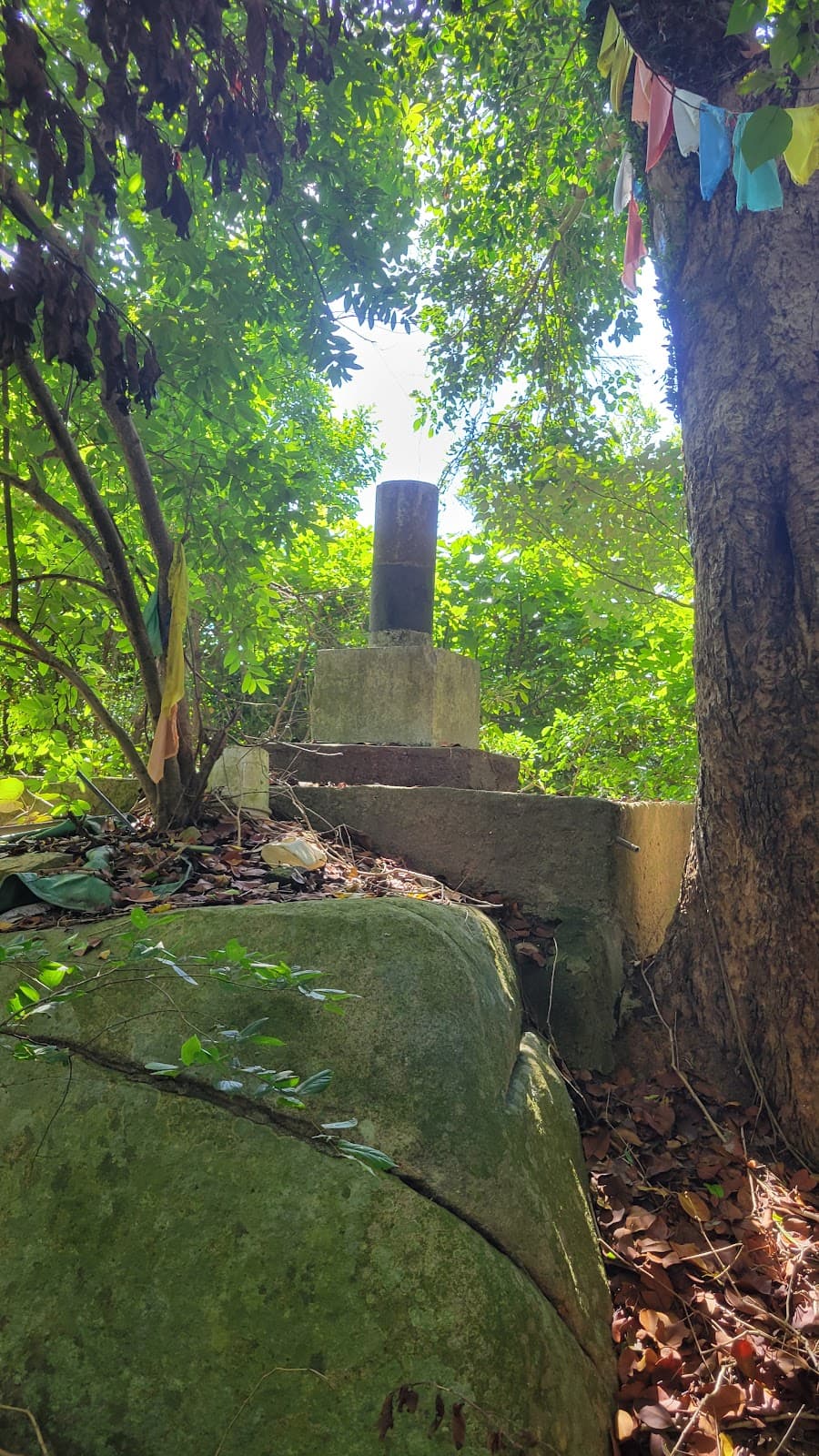 Ilha Verde - Image 1