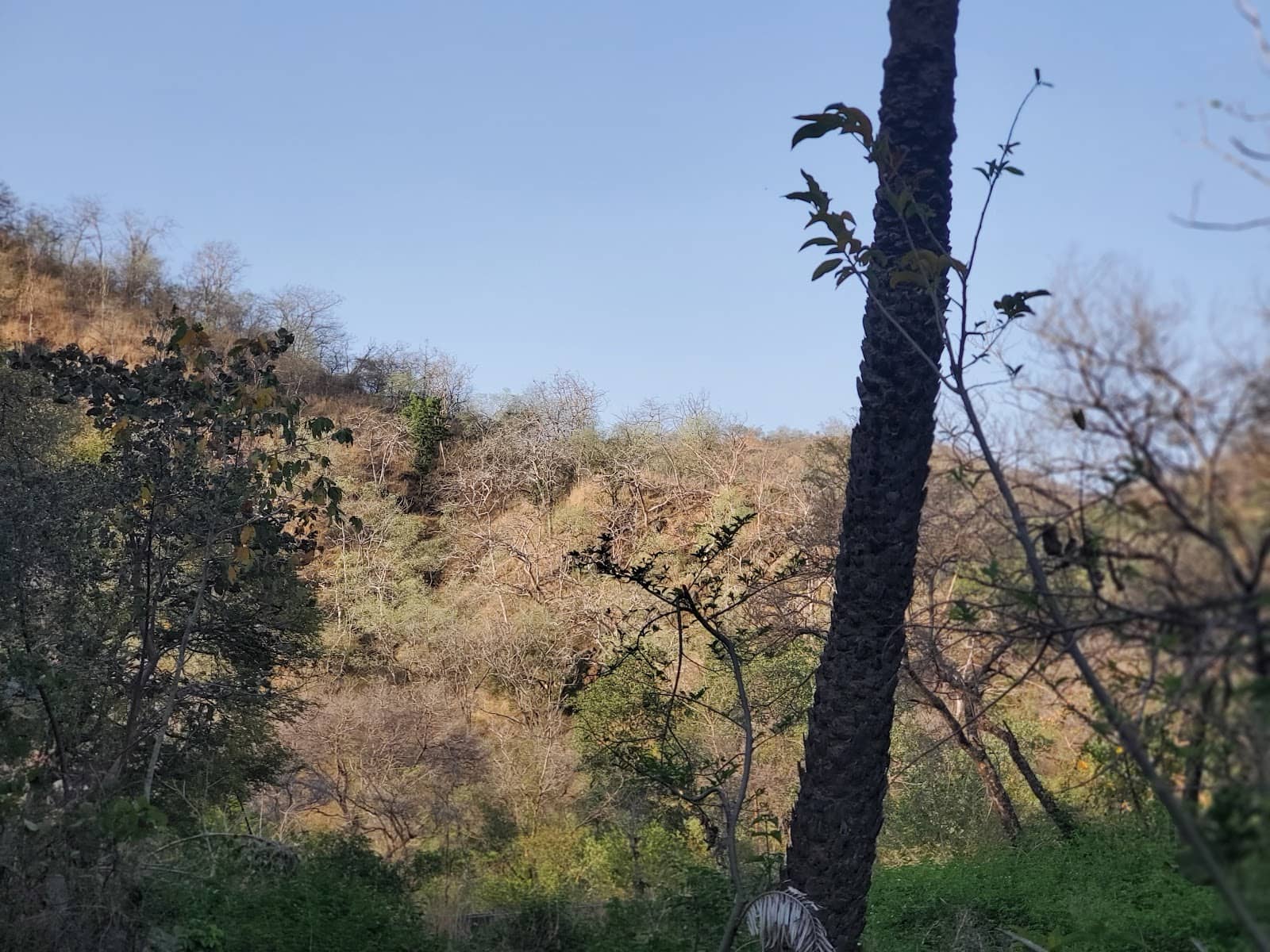 Diverse Wildlife Encounters