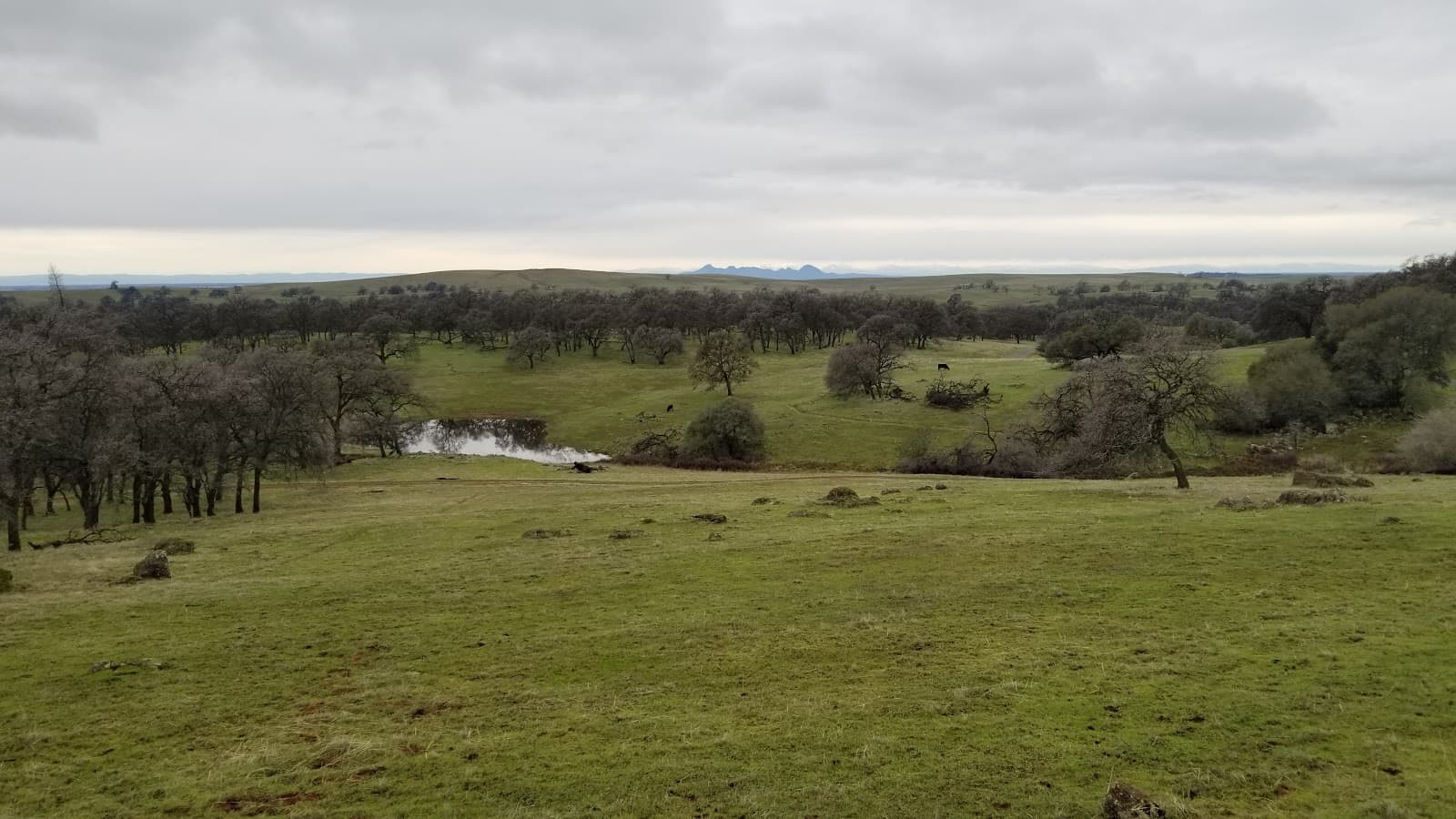 Spenceville Wildlife Area - Image 1
