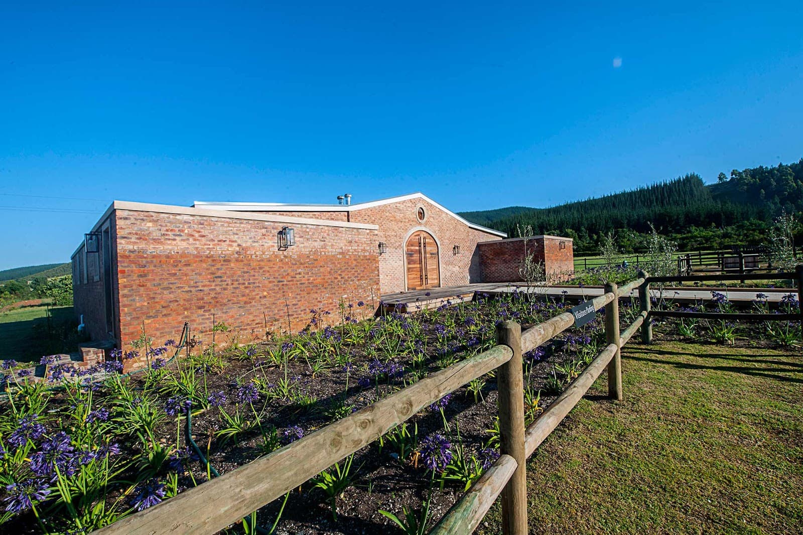 Kay & Monty Vineyards - Image 1