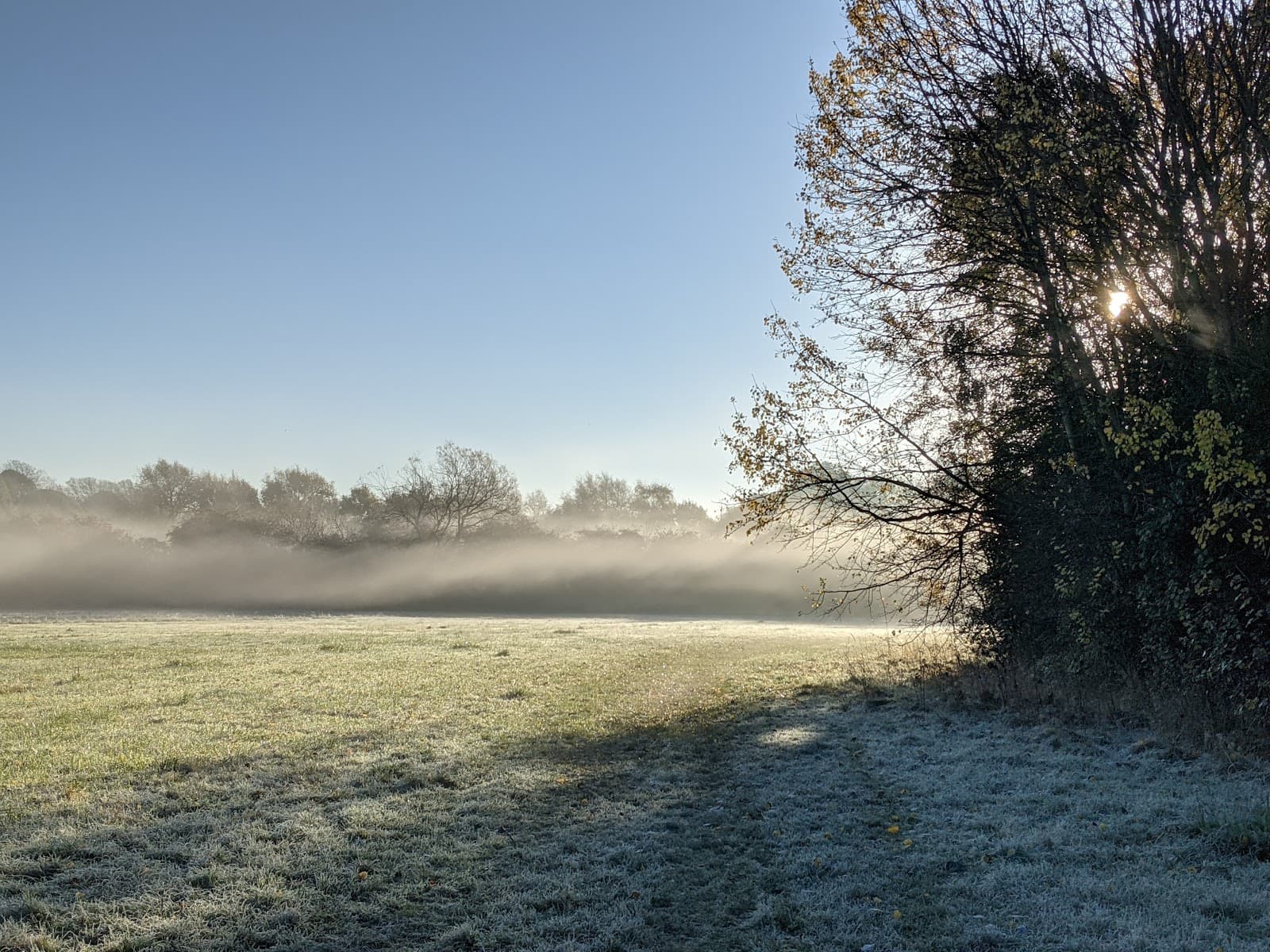 Seven Fields Nature Reserve - Image 1