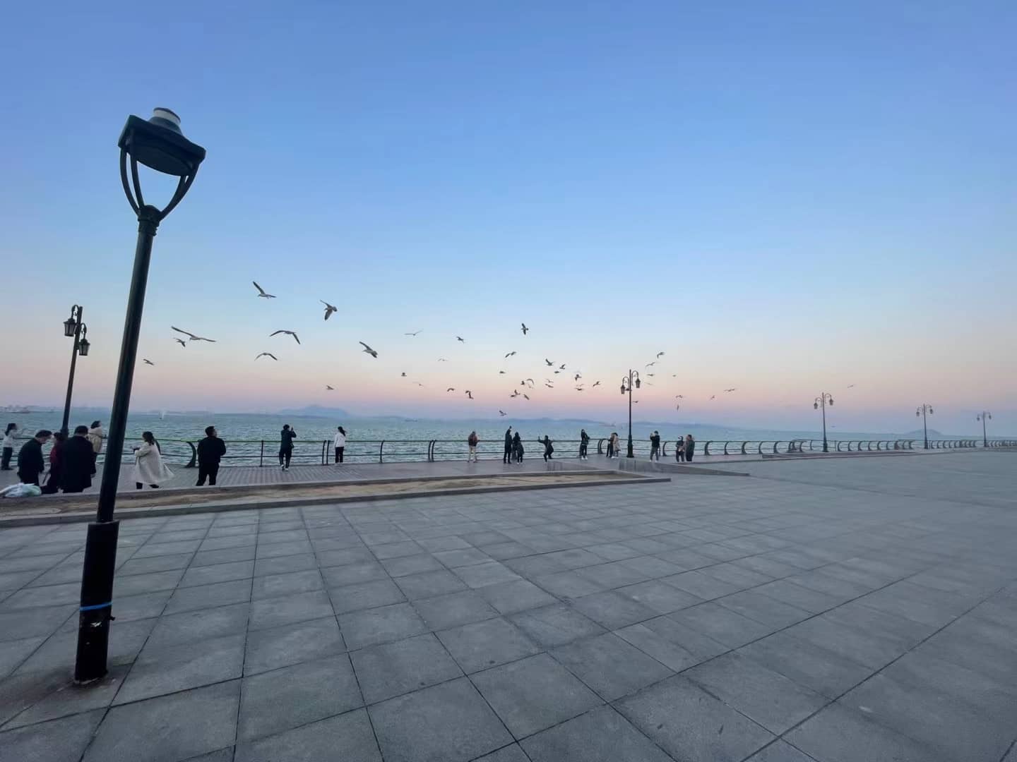 International Ambiance