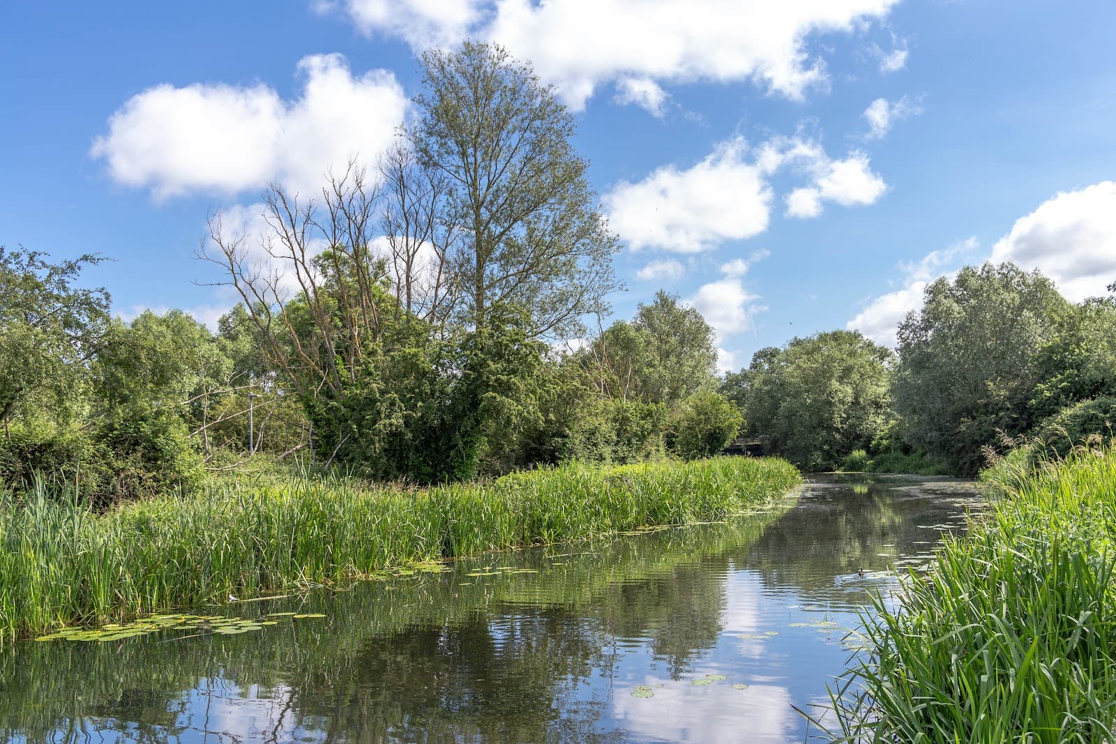 Chelmer & Blackwater Navigation Towpath - Image 1