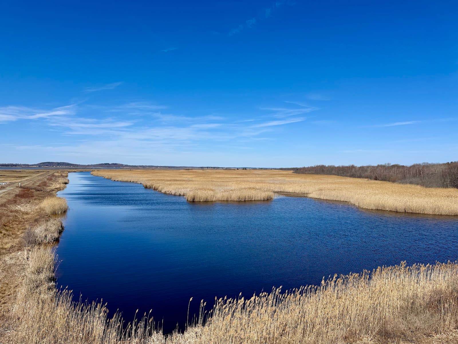 Hellcat Boardwalk Trail - Image 1