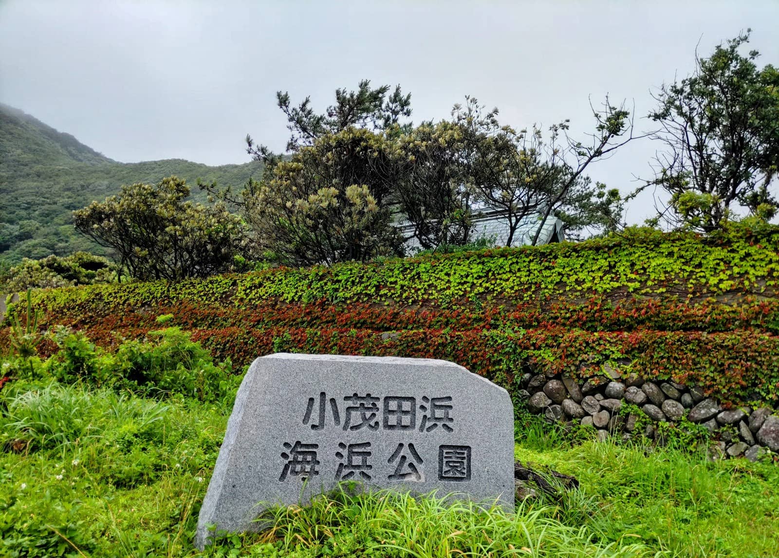 Vertical photo