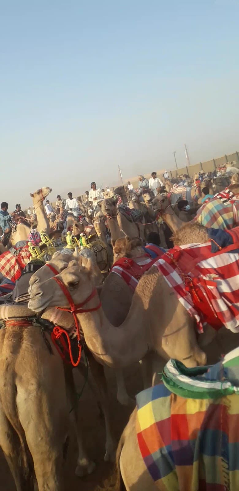 Al Dhaid Camel Race Track - Image 1