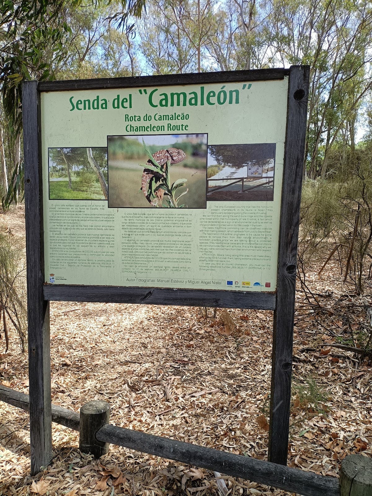 Senda de los Camaleones - Image 1