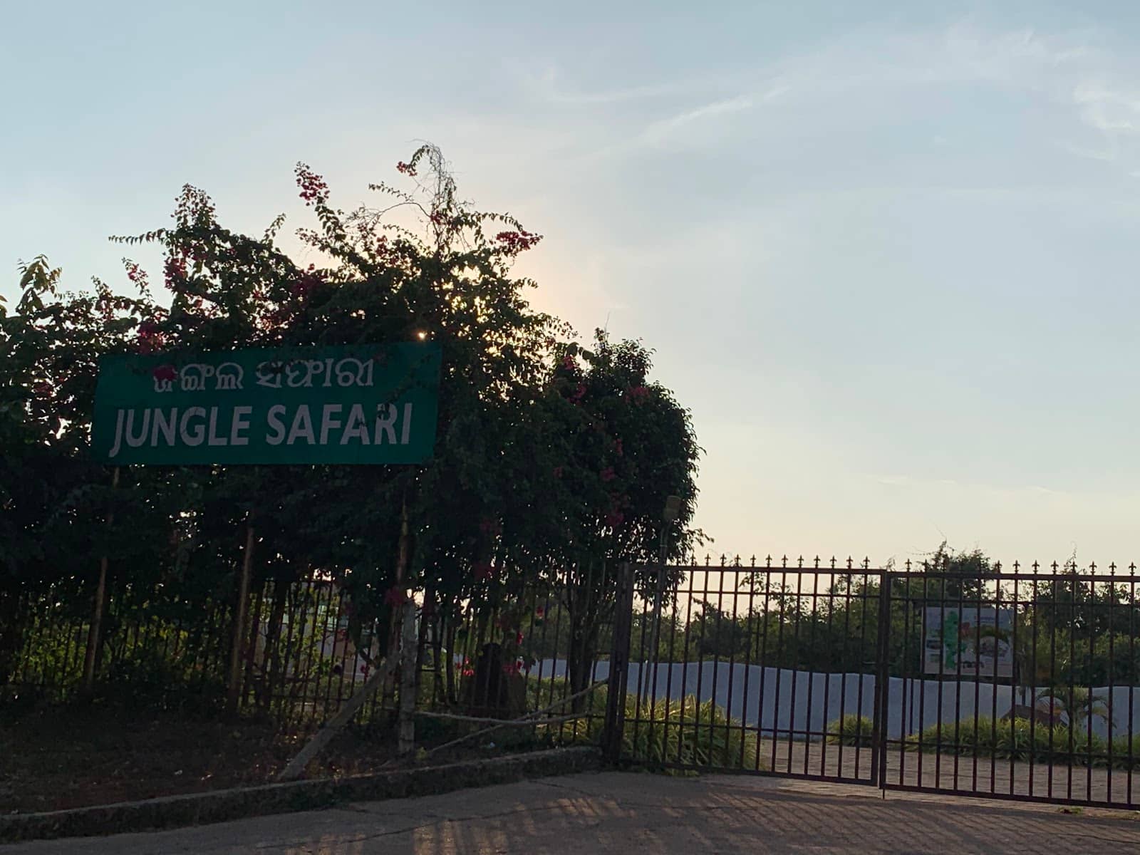 Peaceful Walking Paths