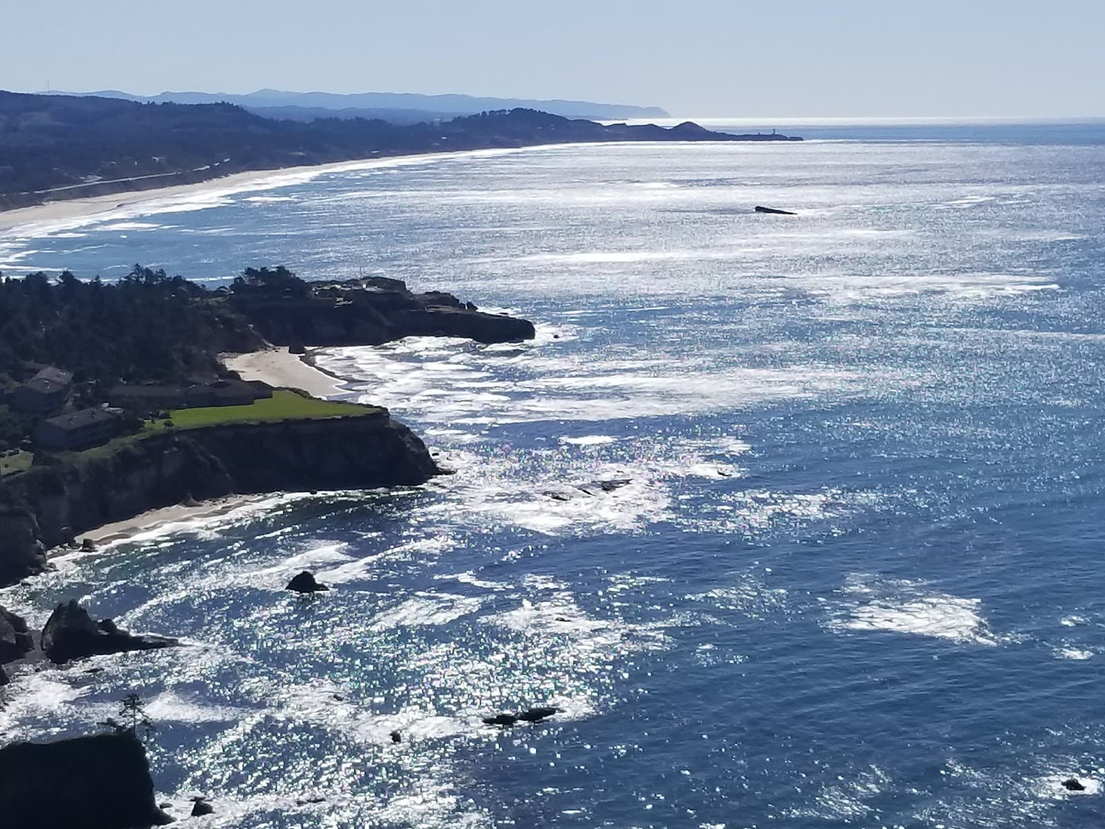 Otter Rock Marine Garden - Image 1