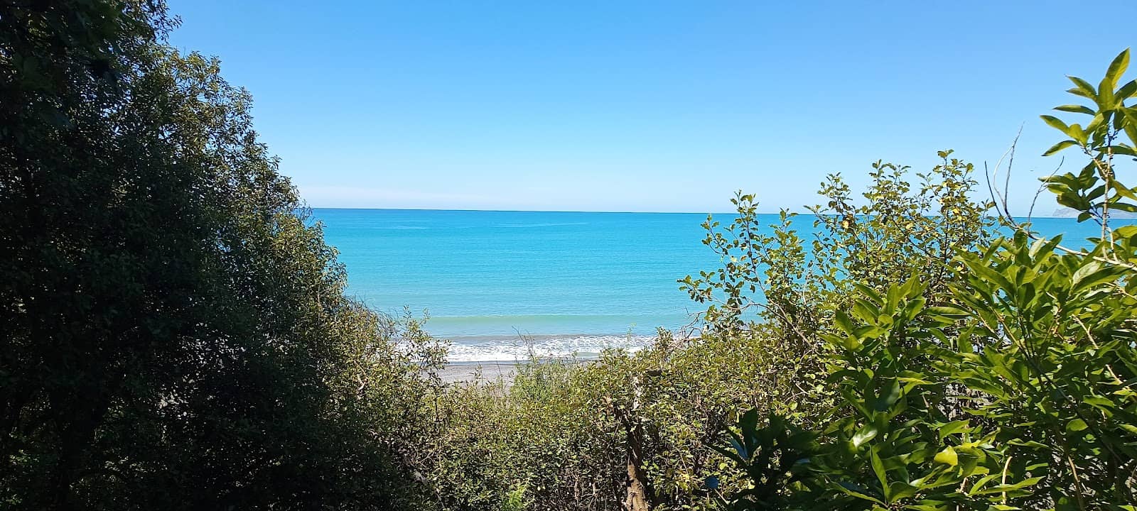 Whites Bay