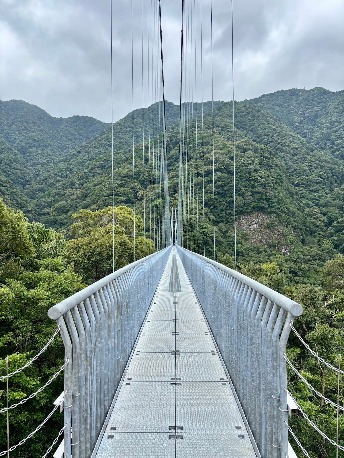 Aya Suspension Bridge - Image 1