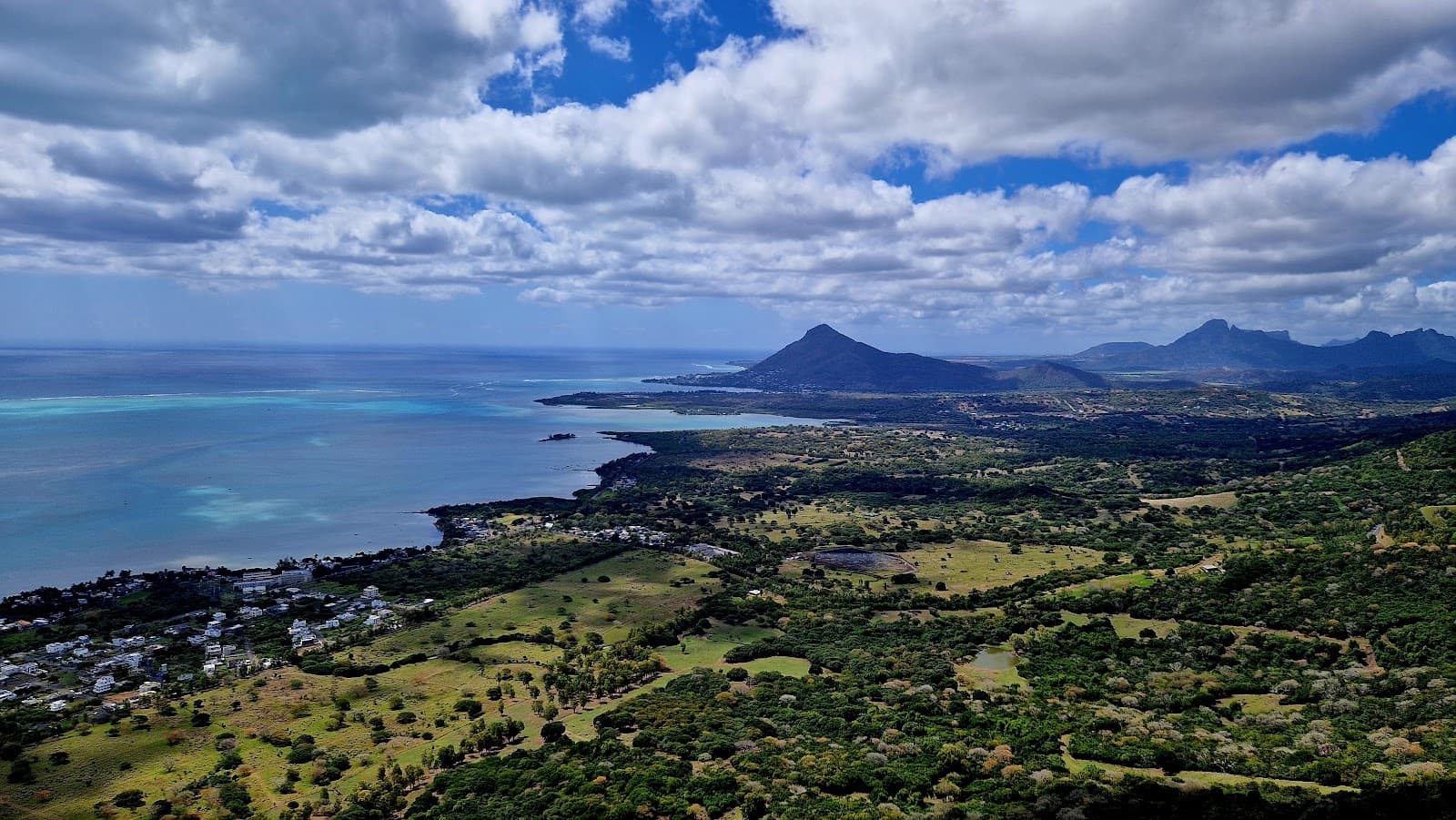 Sublime Point (Ebony Forest) - Image 1