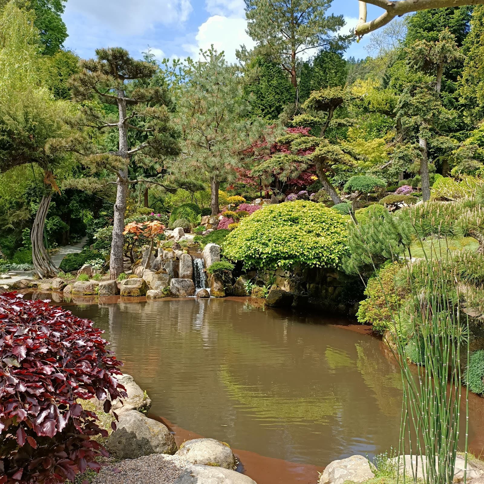 Japanese Garden, Jarków - Image 1