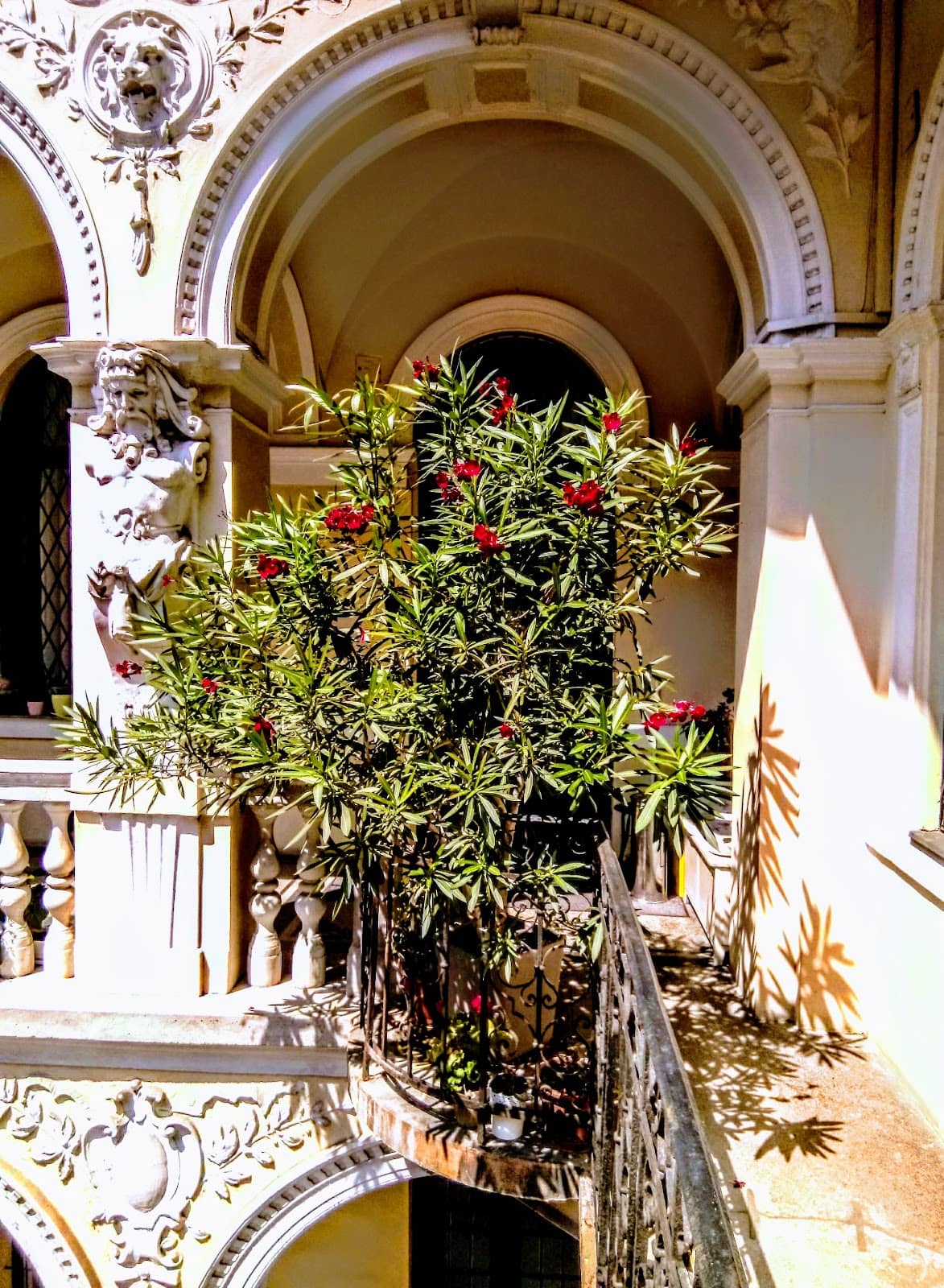 Vertical photo