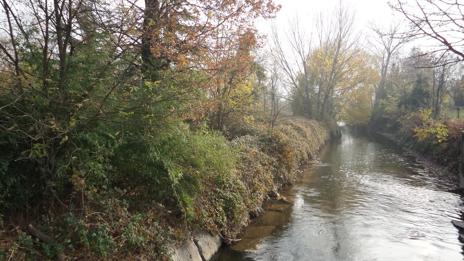 Olona riverside path - Image 1