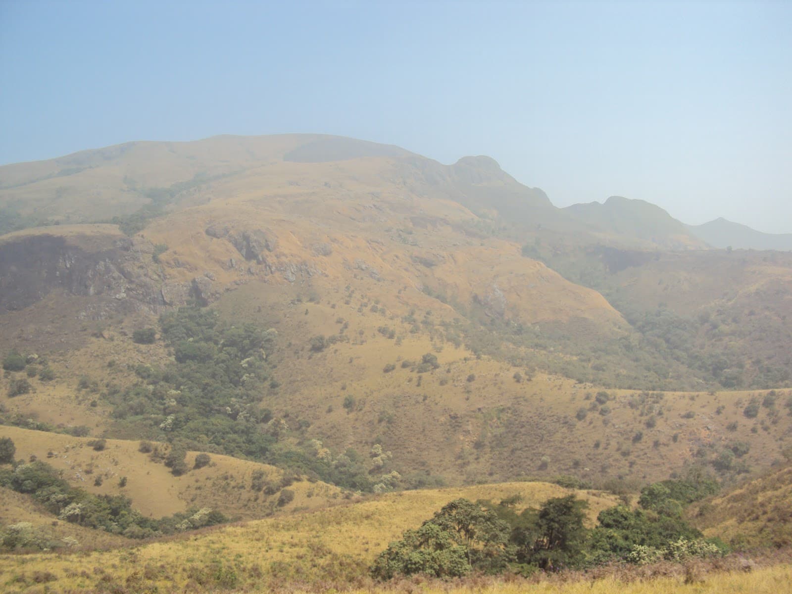 Chappal Waddi Mambilla Plateau - Image 1