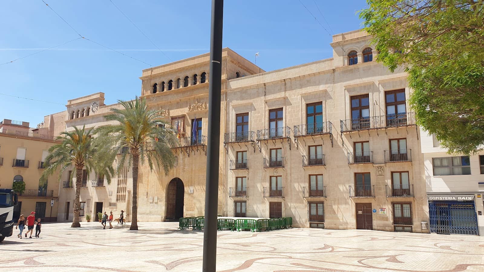 Elche's Local Charm