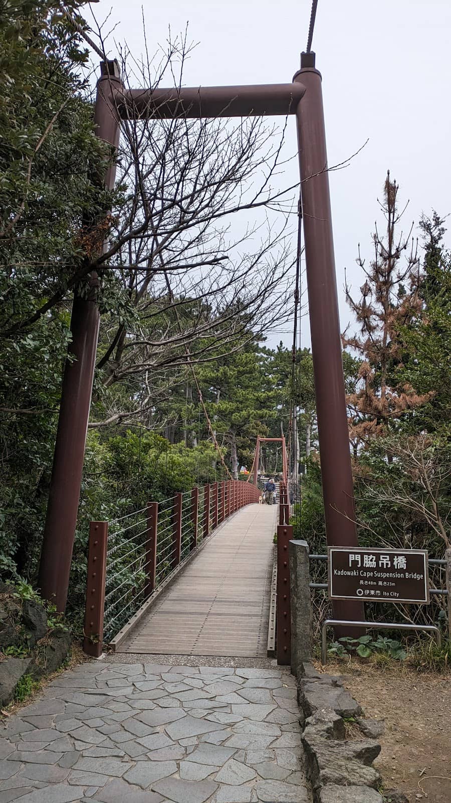 Vertical photo
