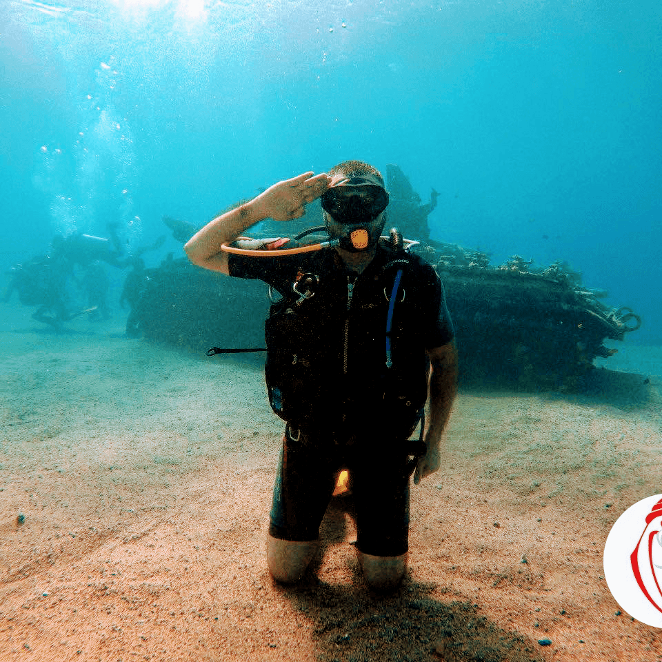 Vibrant Coral Gardens