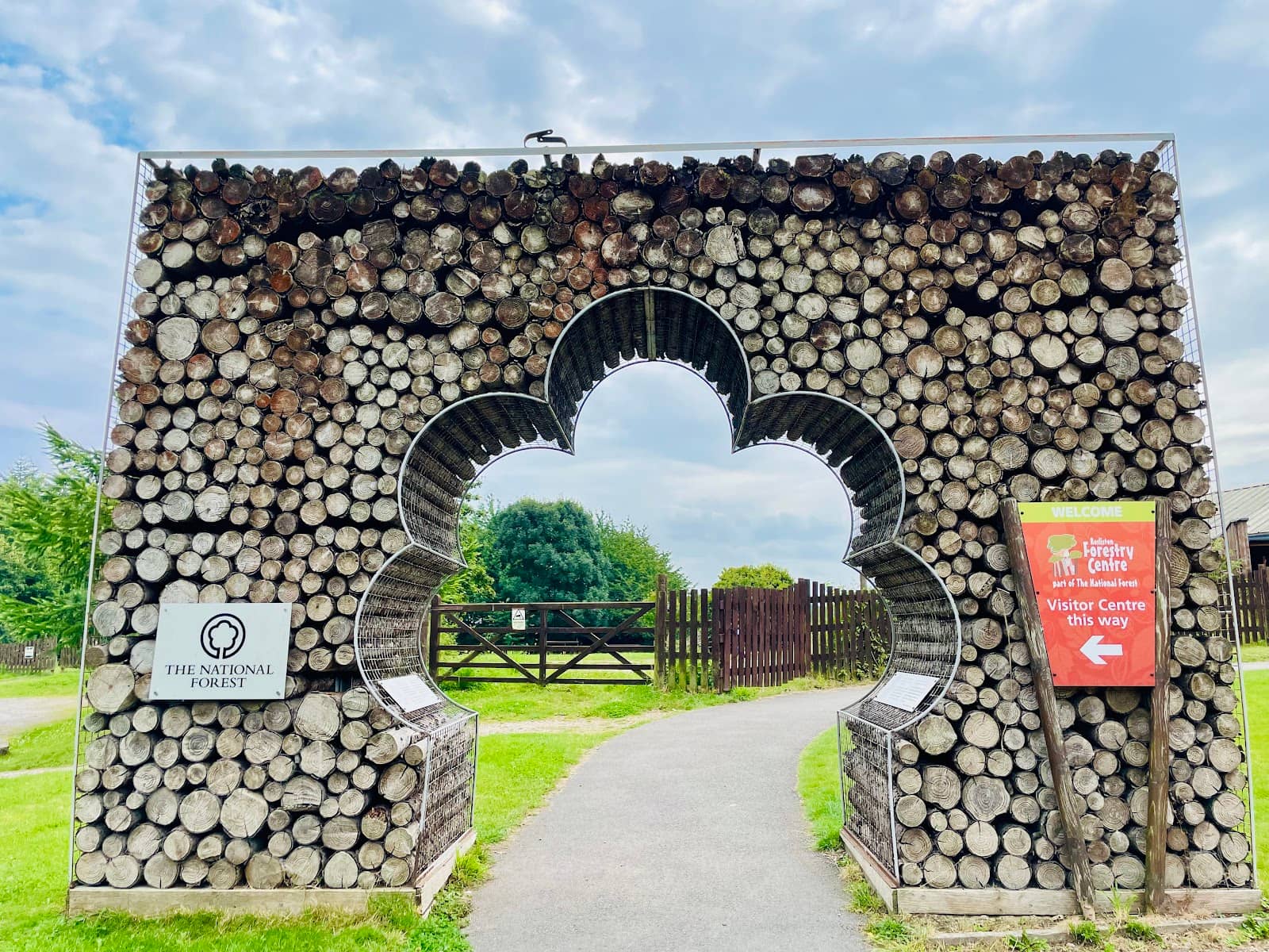 Birds of Prey Display