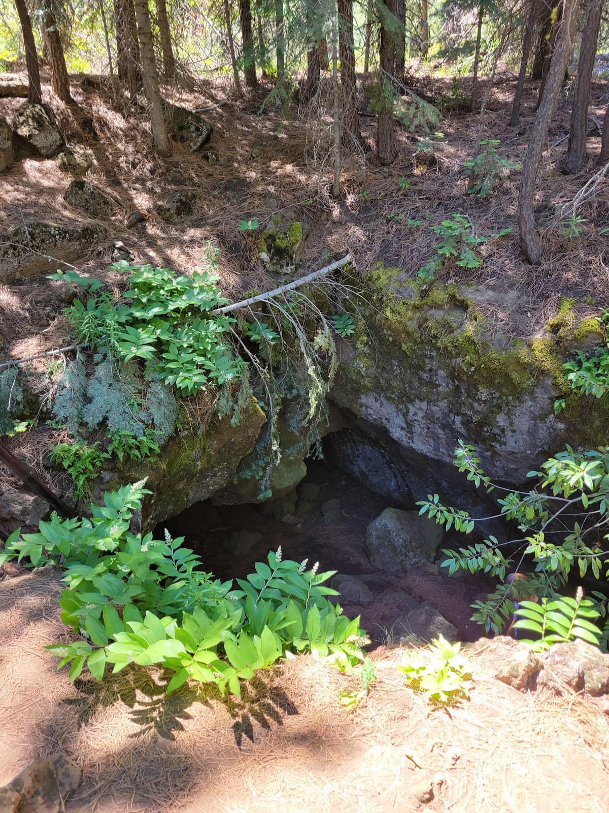 Vertical photo