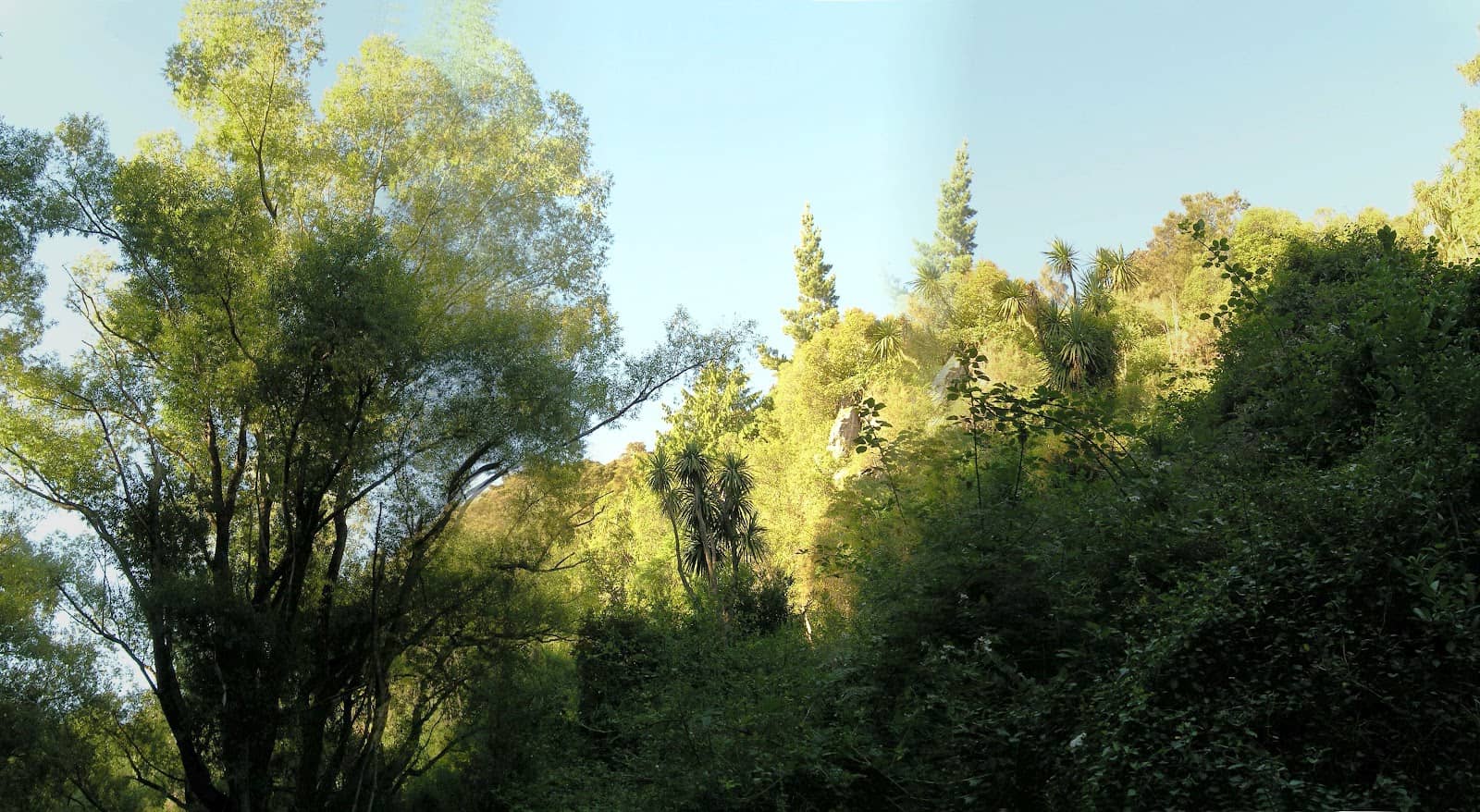 Vertical photo