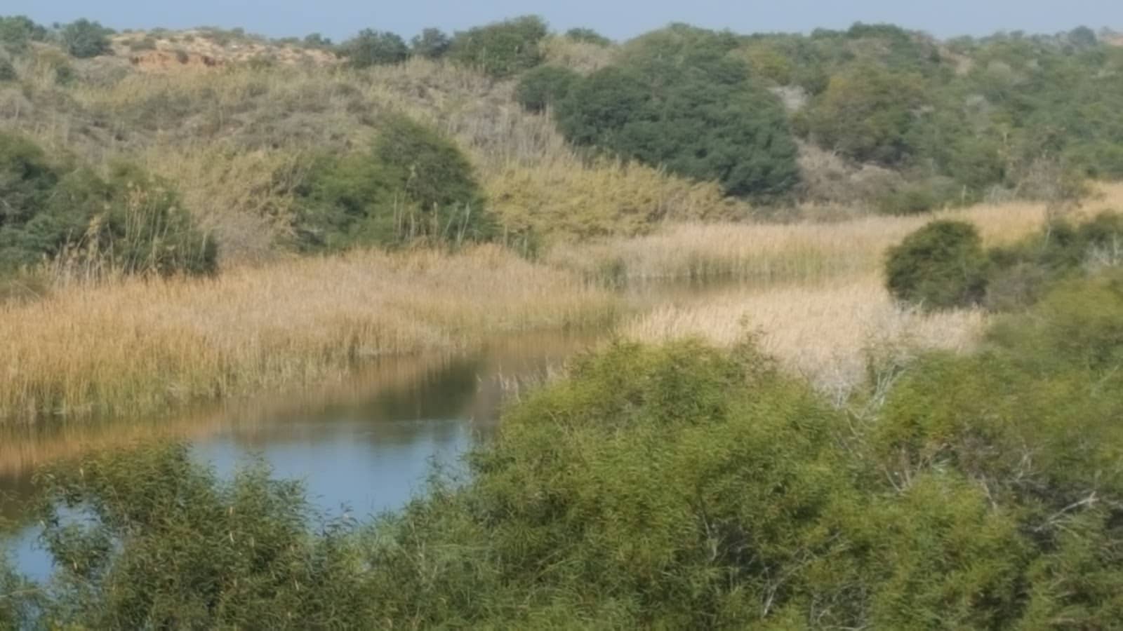 Nitzanim Nature Reserve