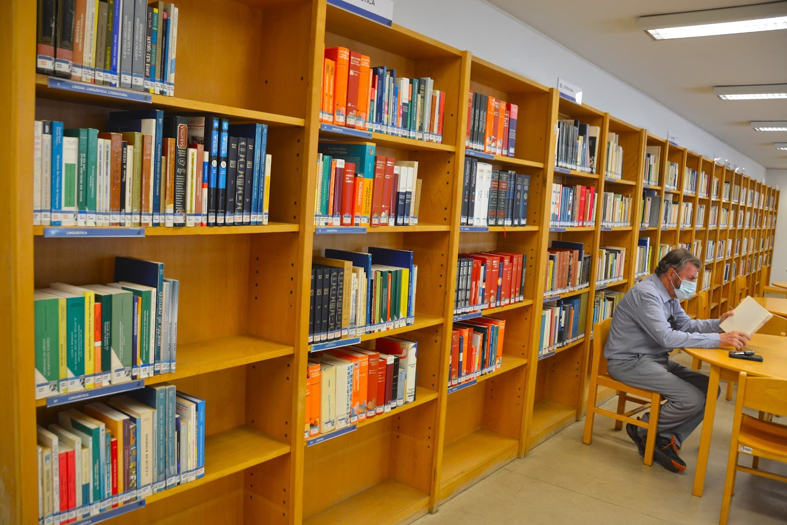Maia Municipal Library - Image 1
