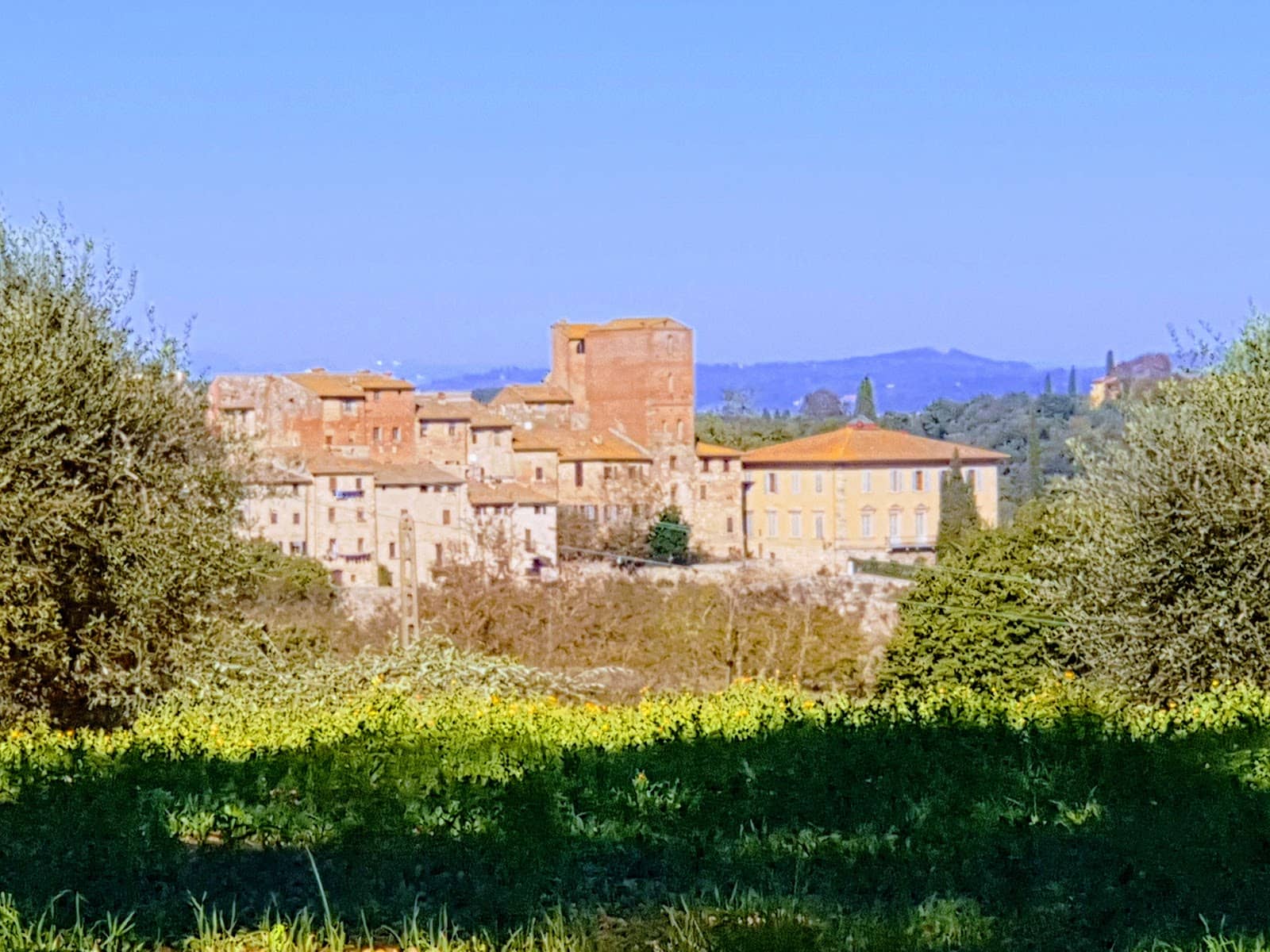 Vertical photo