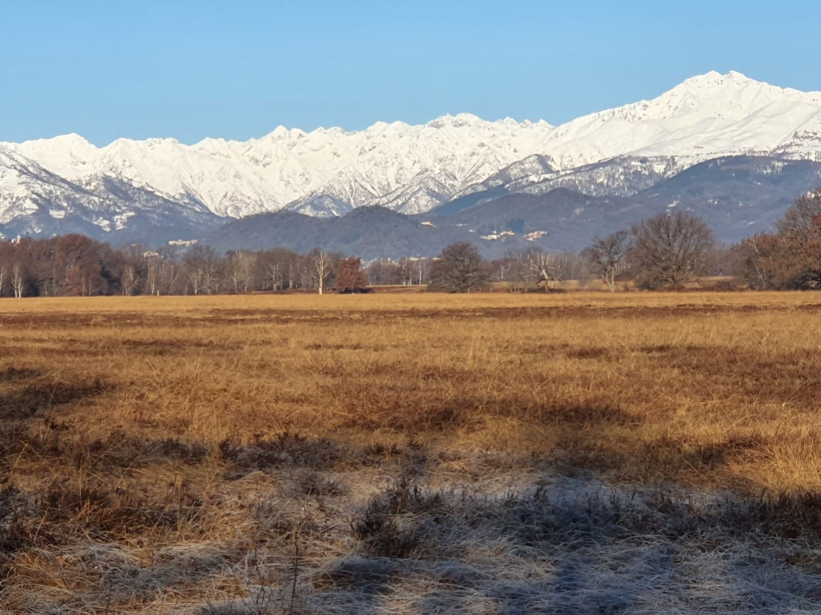 Baraggia Biellese Nature Reserve - Image 1