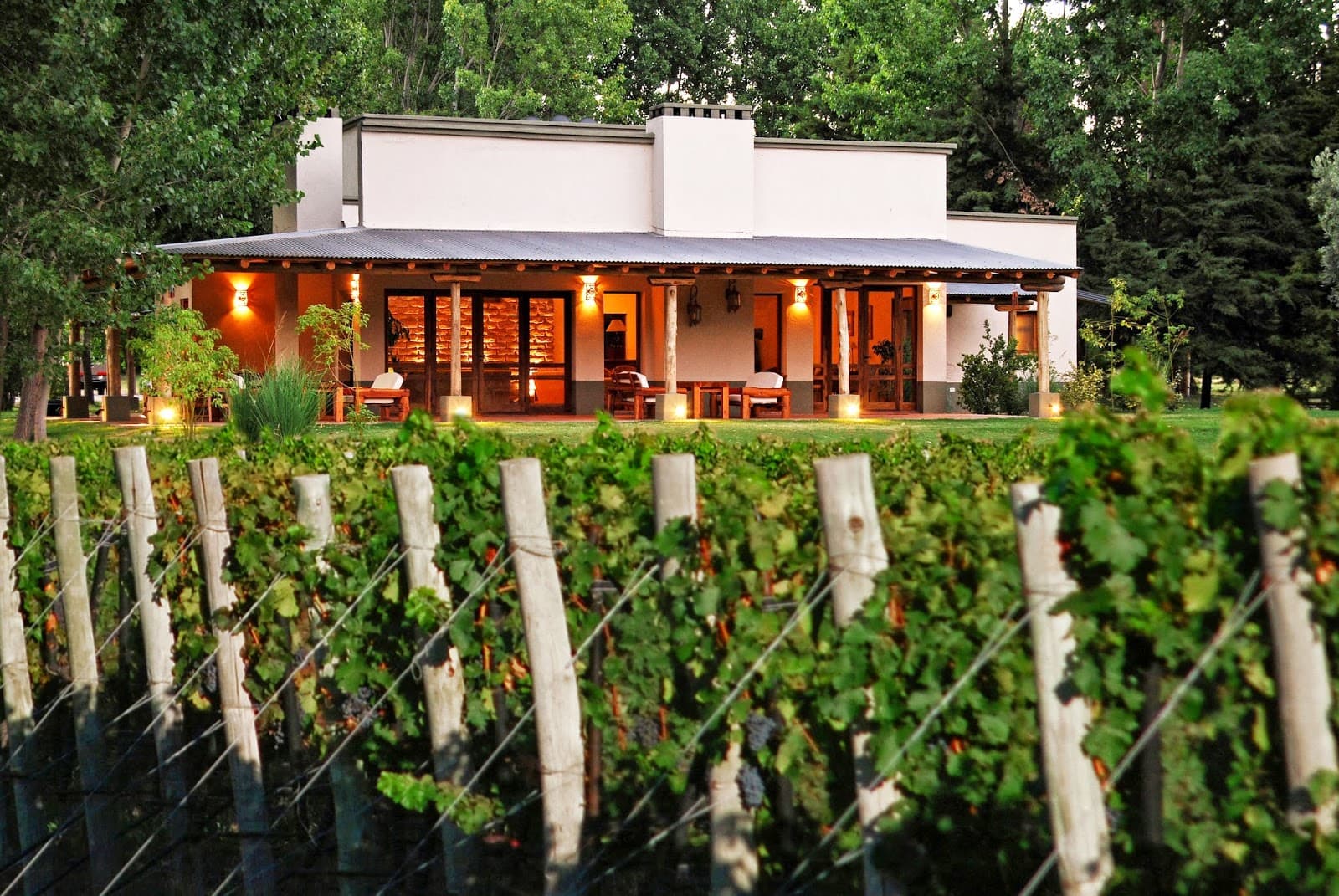 Algodon Wine Estates - Image 1