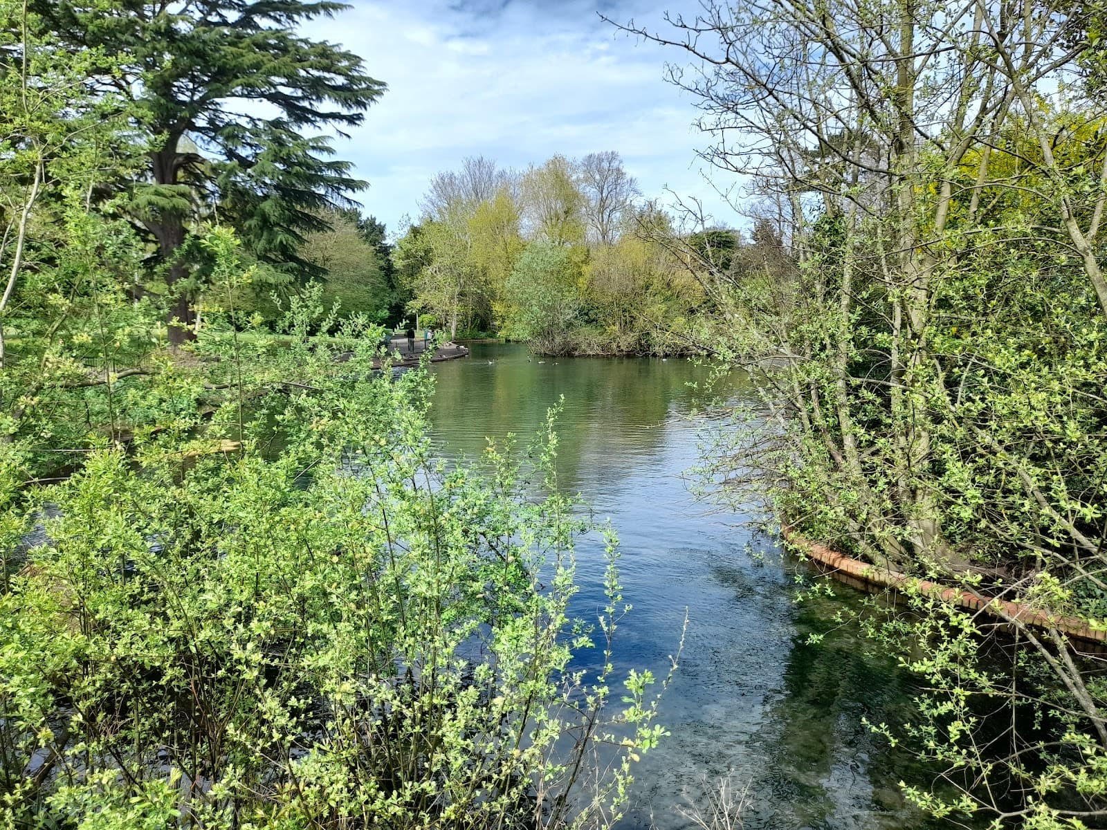Ewell Springs Bourne Hall Lake - Image 1
