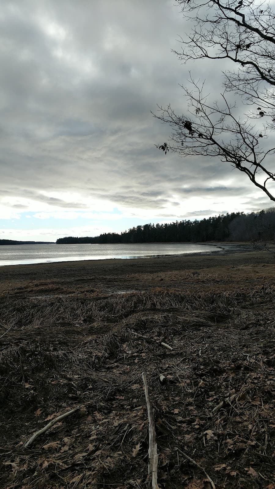 Kate Furbish Preserve - Image 1