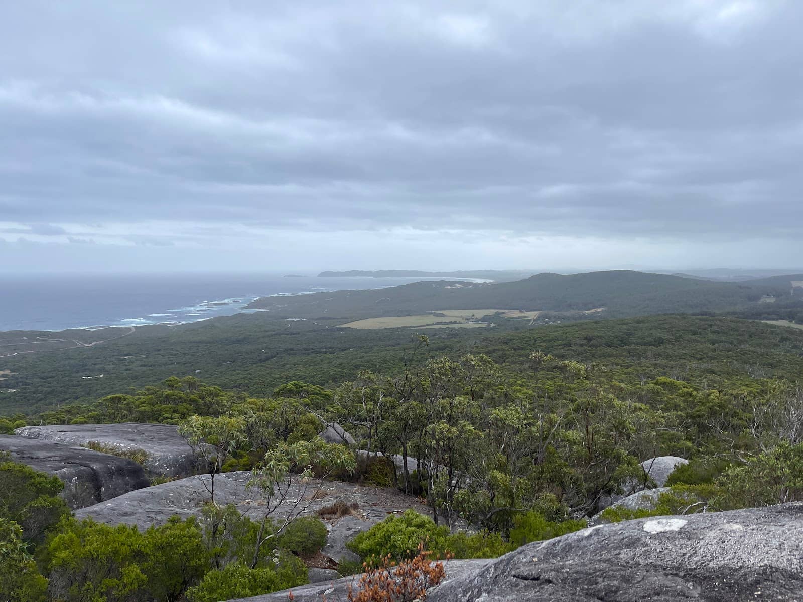 Monkey Rock