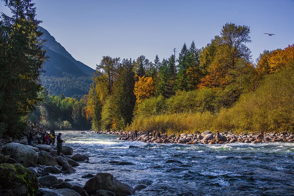 Chilliwack River Provincial Park - Image 1