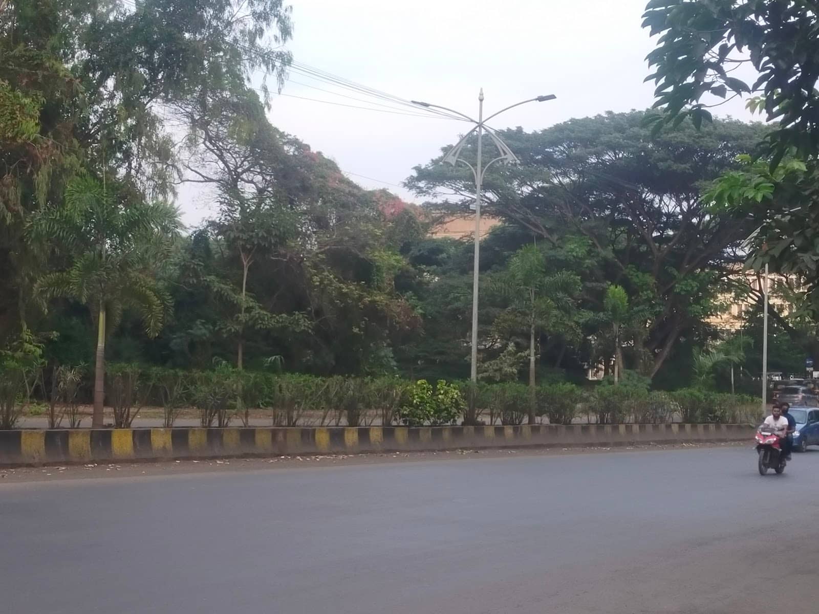 Powai Lake