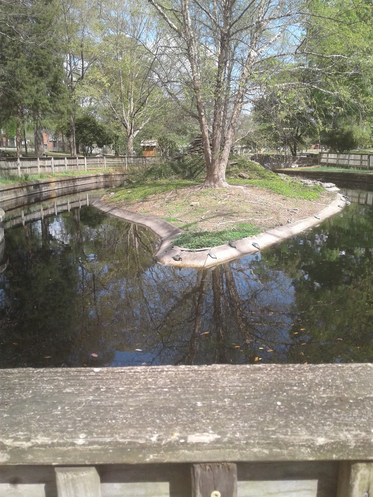 Oak Park - Image 1