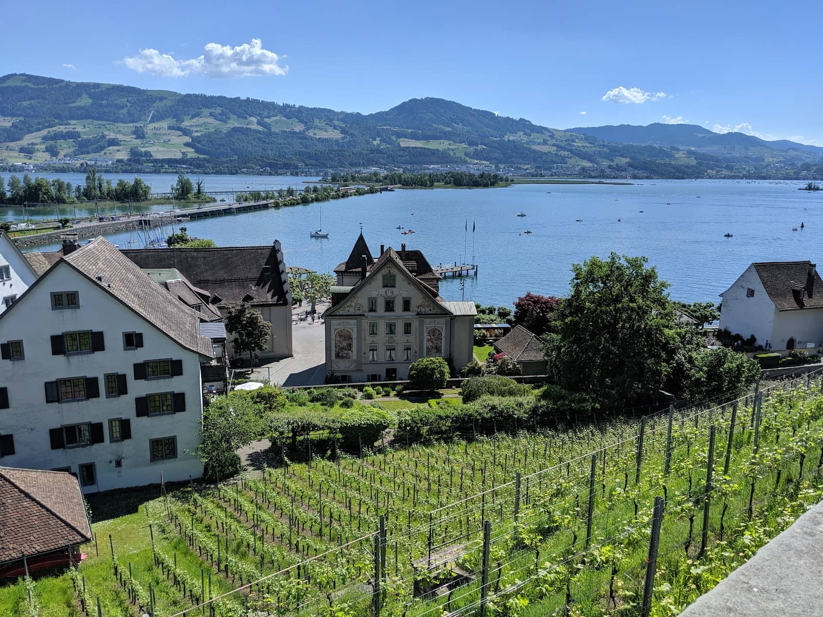 Lindenhof Panoramic Views