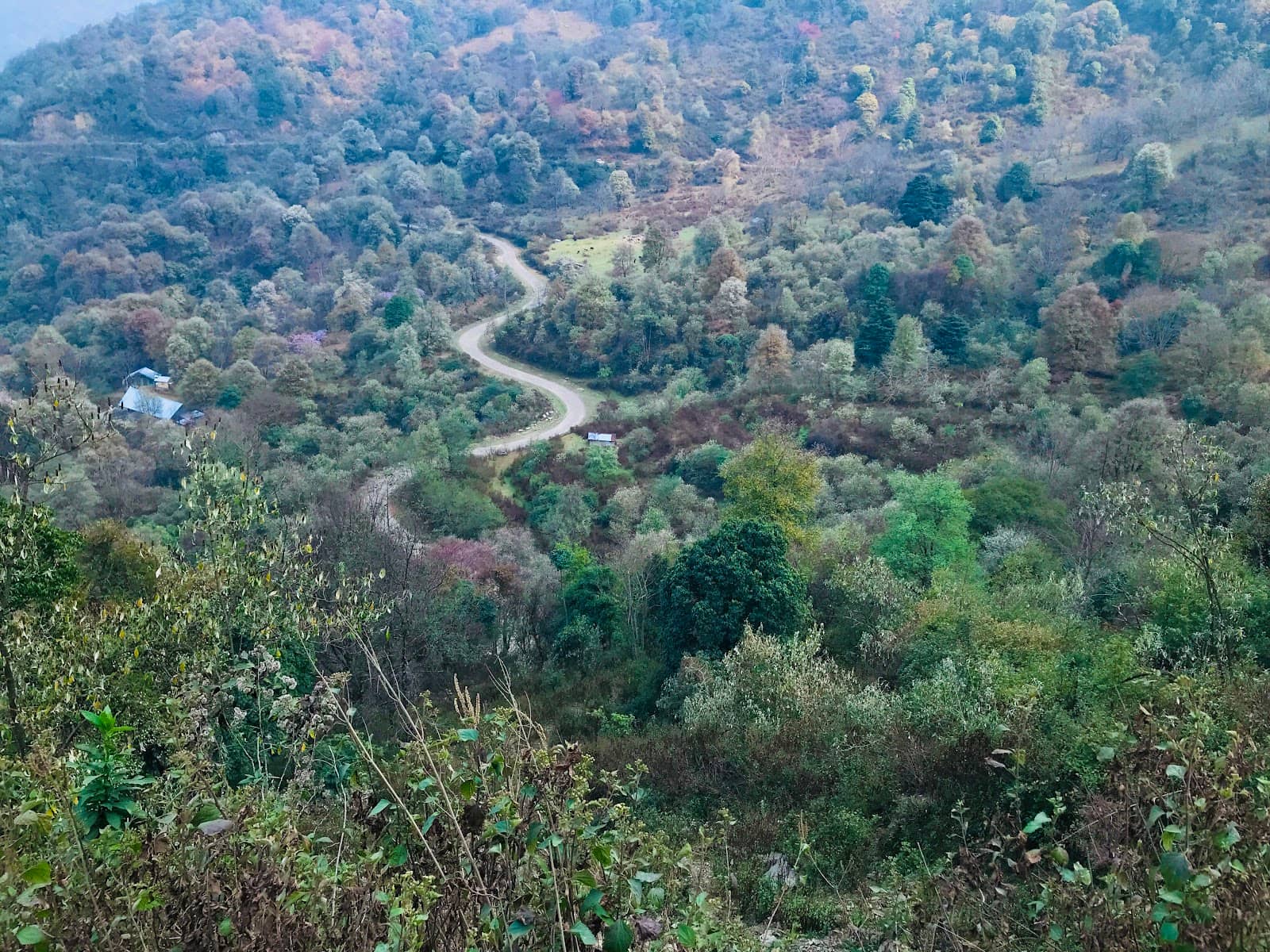 Angami Village Life