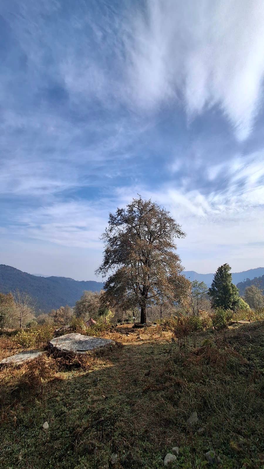 Vertical photo
