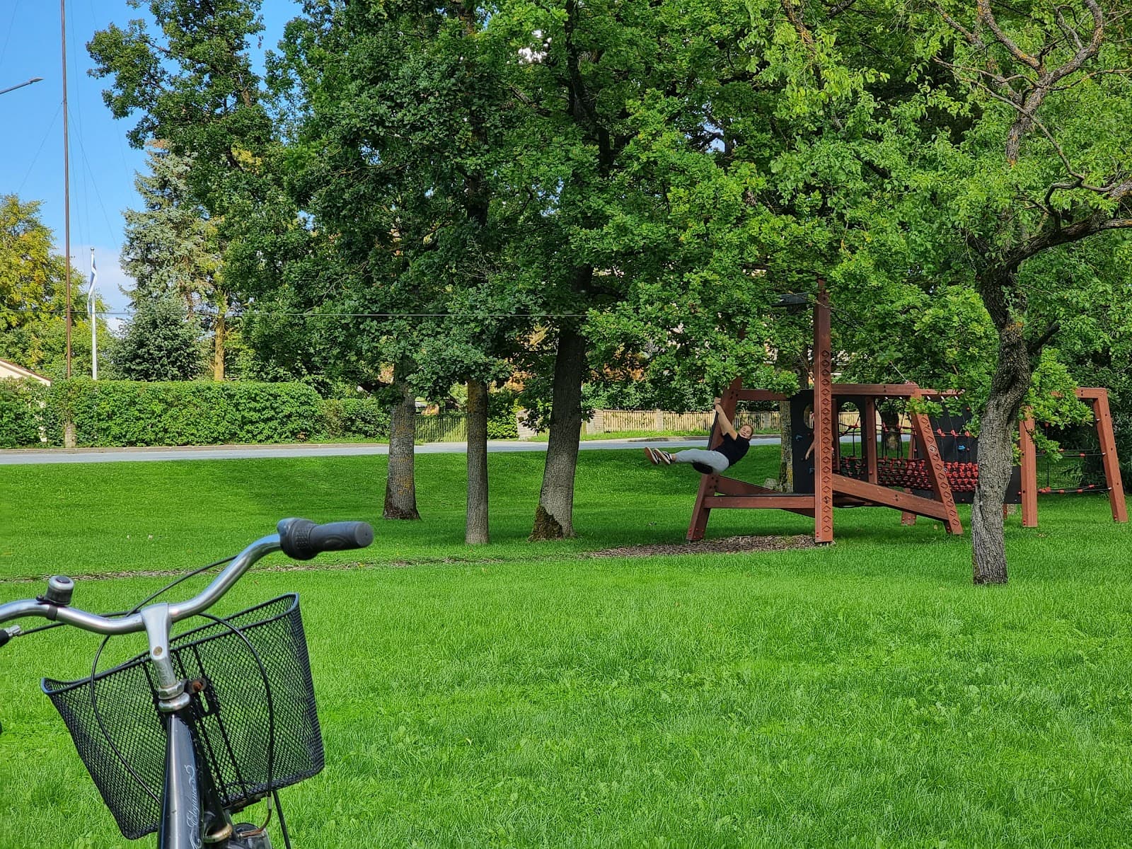 Orissaare Stadium Oak - Image 1