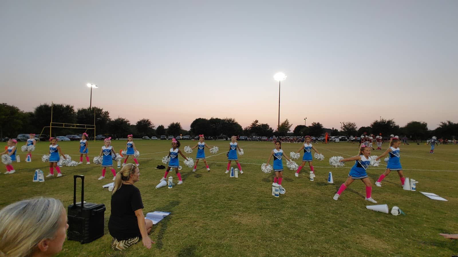 Baseball & Softball Fields