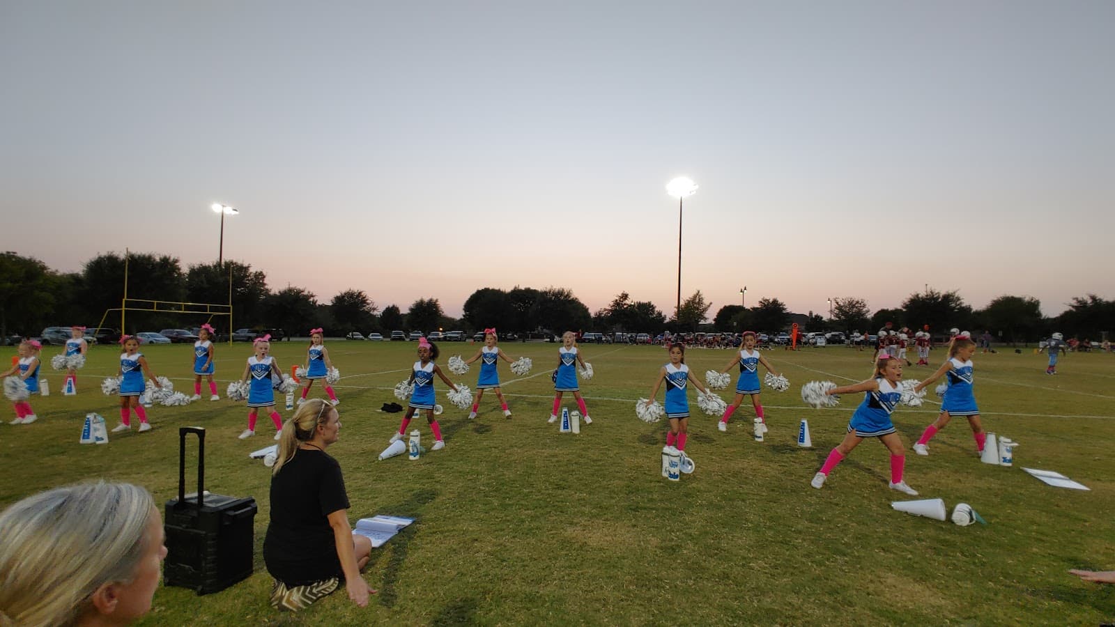 Harold Bacchus Community Park - Image 1