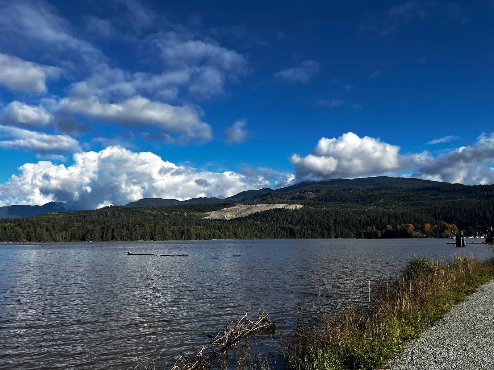 Tranquil Bayfront Access