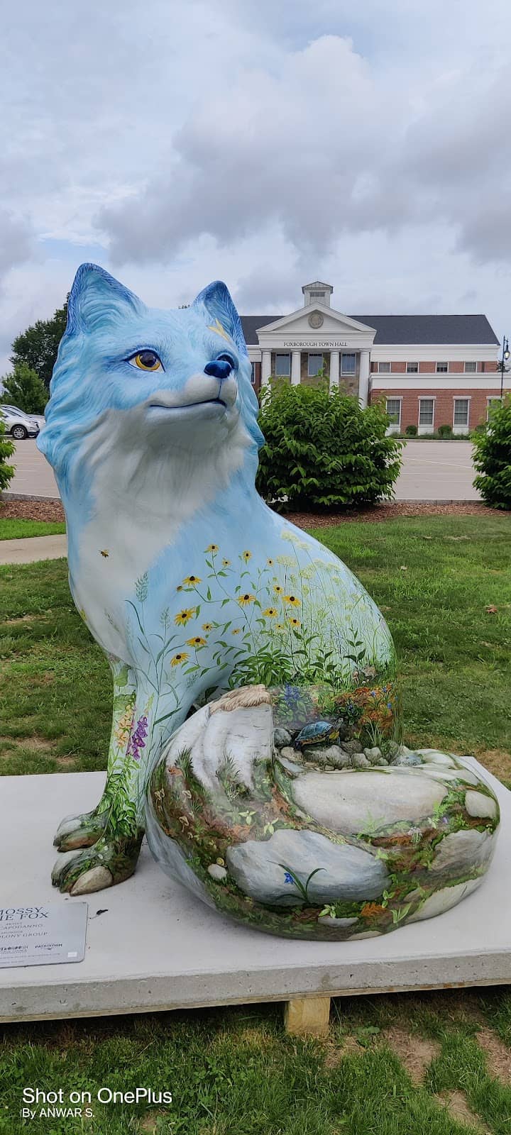 Community Events & Festivals