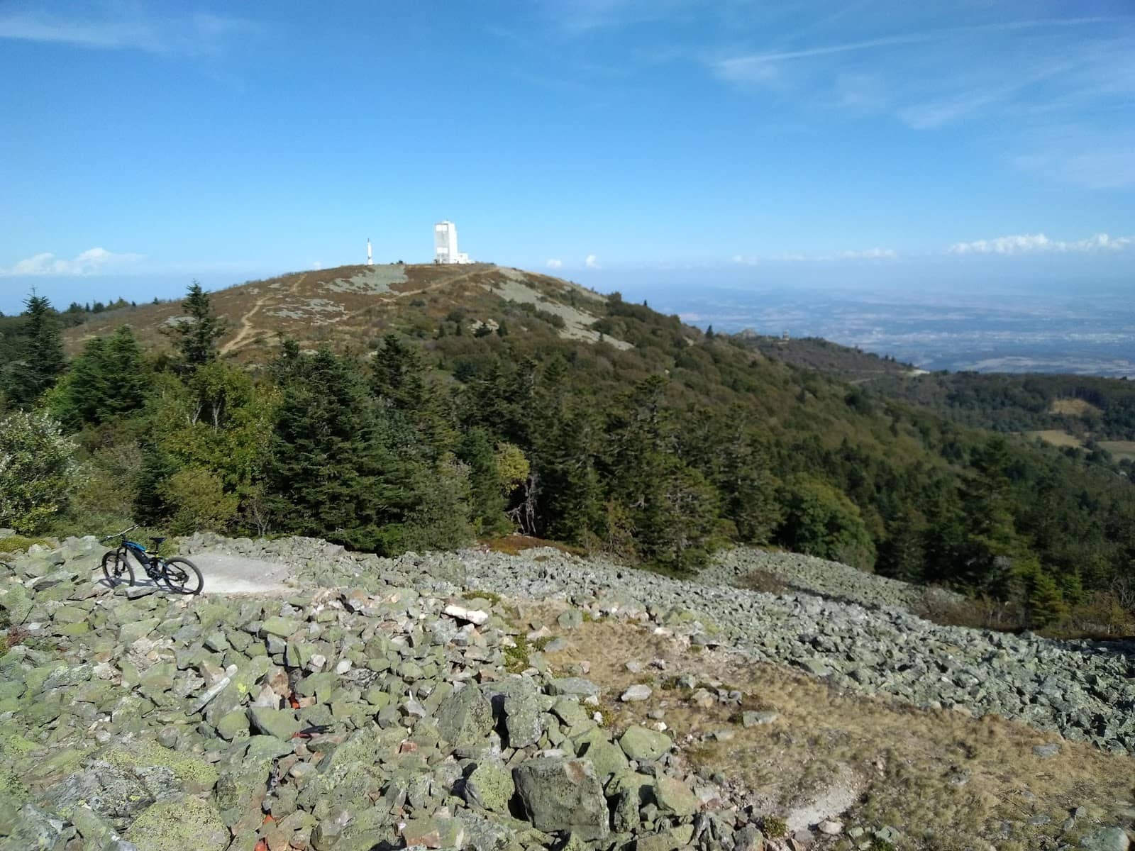 Local Cheese and Wine Tasting
