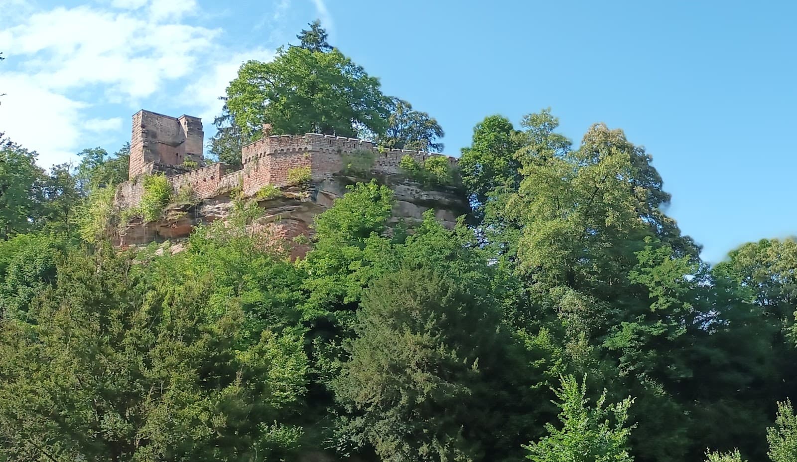 Diemerstein Castle - Image 1
